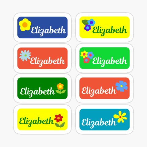 Elizabeth Colorful Sticker with flower design