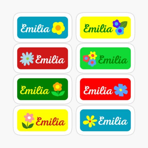 EMILIA Colorful Sticker with flower design