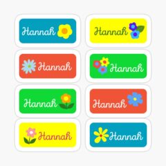 HANNAH Colorful Sticker with flower design