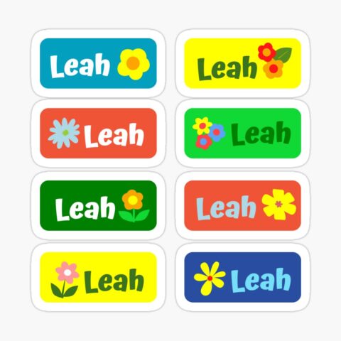 LEAH Colorful Sticker with flower design
