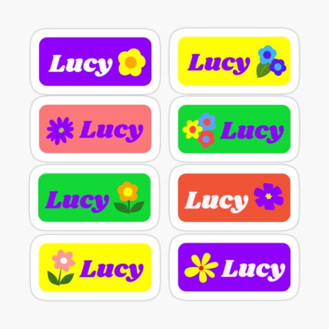 LUCY Colorful Sticker with flower design