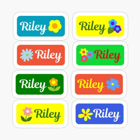 RILEY Colorful Sticker with flower design