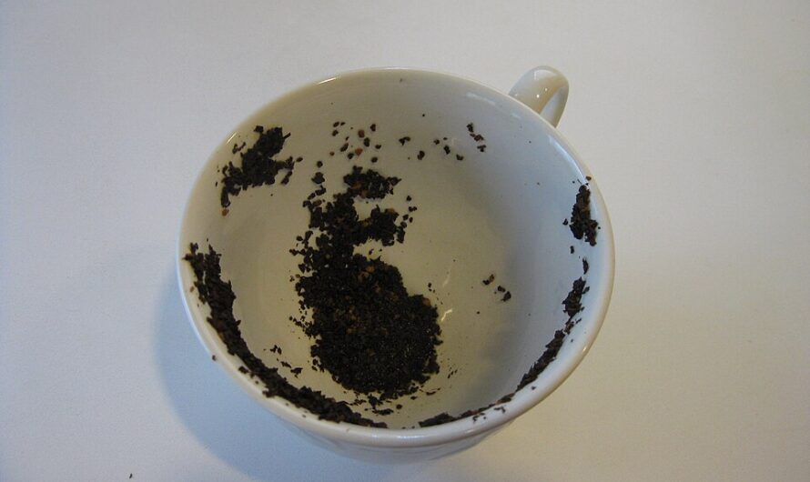 Reading the Future in a Cup: The Art of Coffee Fortune